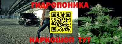 СК Новокубанск