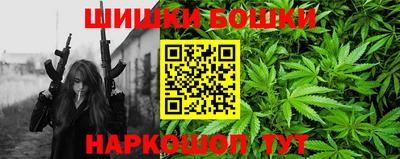 СК Новокубанск