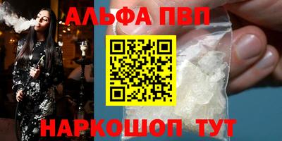 СК Новокубанск